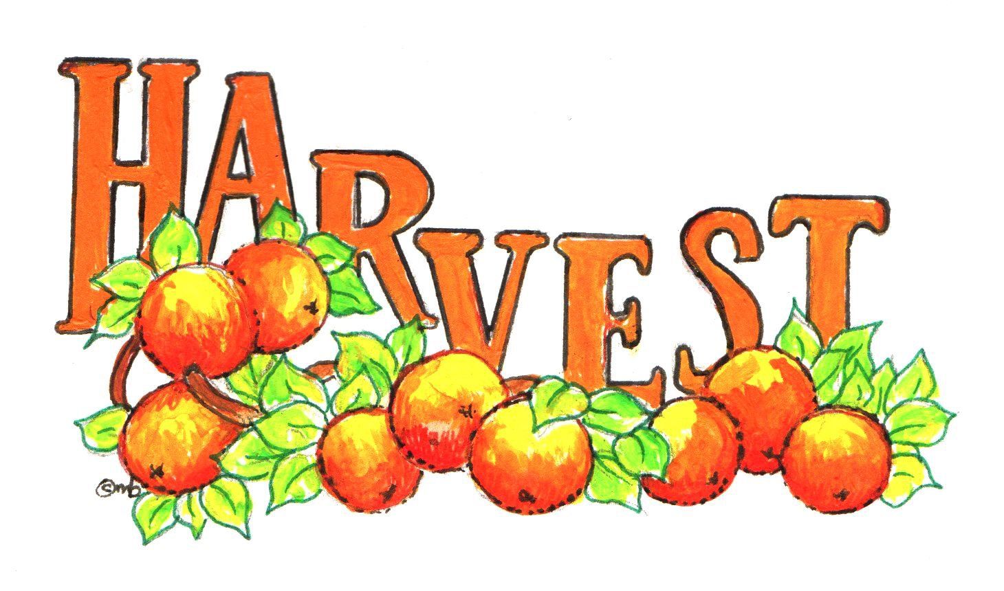 Harvest Festival Fruits by Marilyn