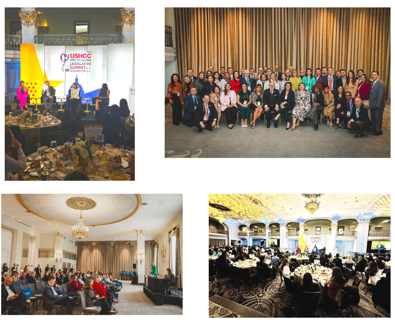 photos of the sumit coference march 2025