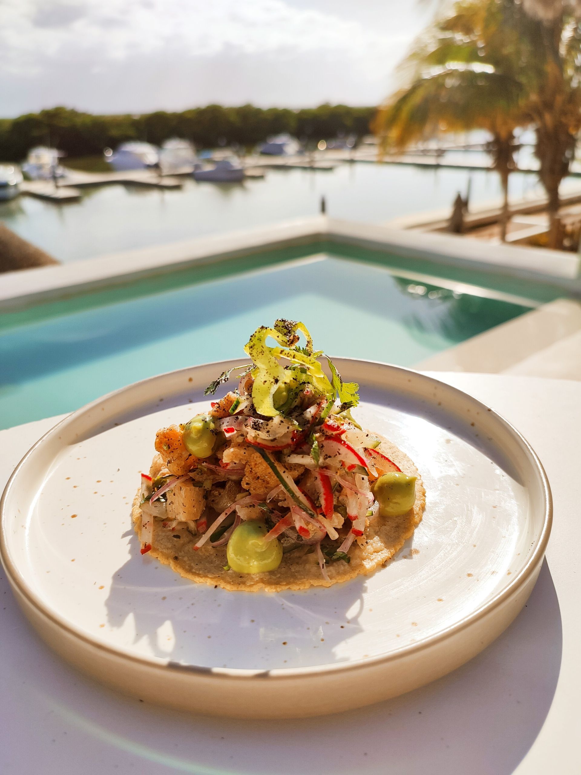 Un plato de comida está junto a una piscina.