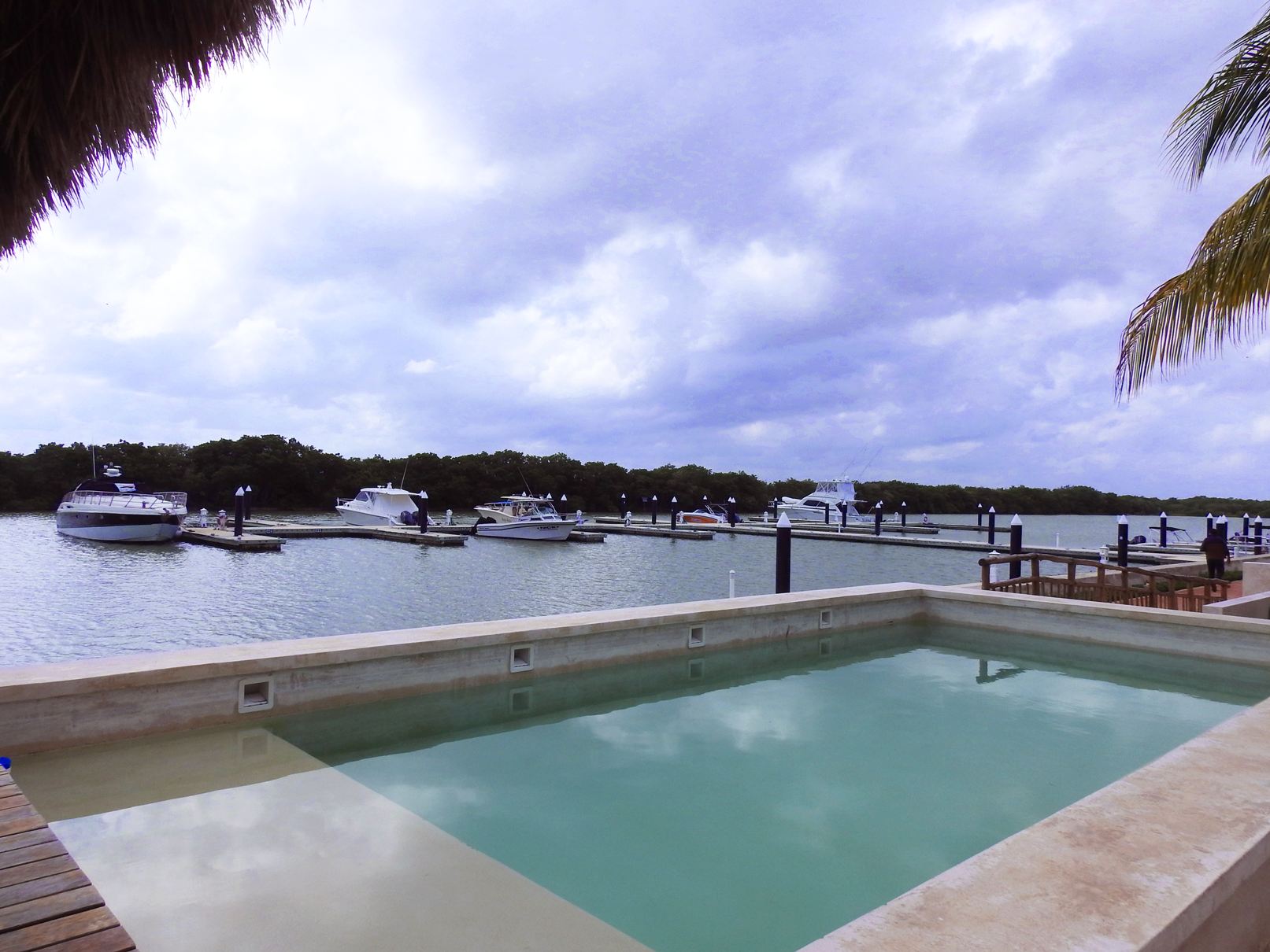 Una piscina con barcos atracados al fondo.
