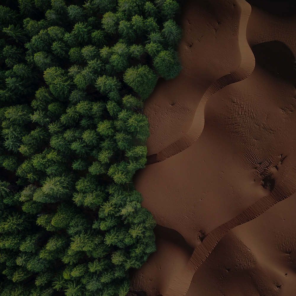 A podium with the word sustainability on it