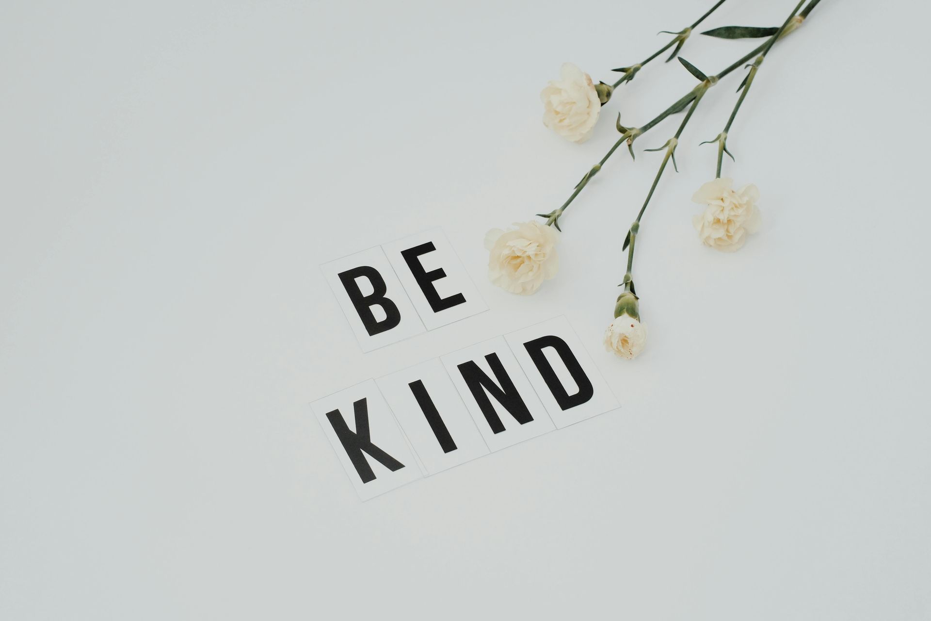 White background with “BE KIND” in black letters and a sprig of white flowers.