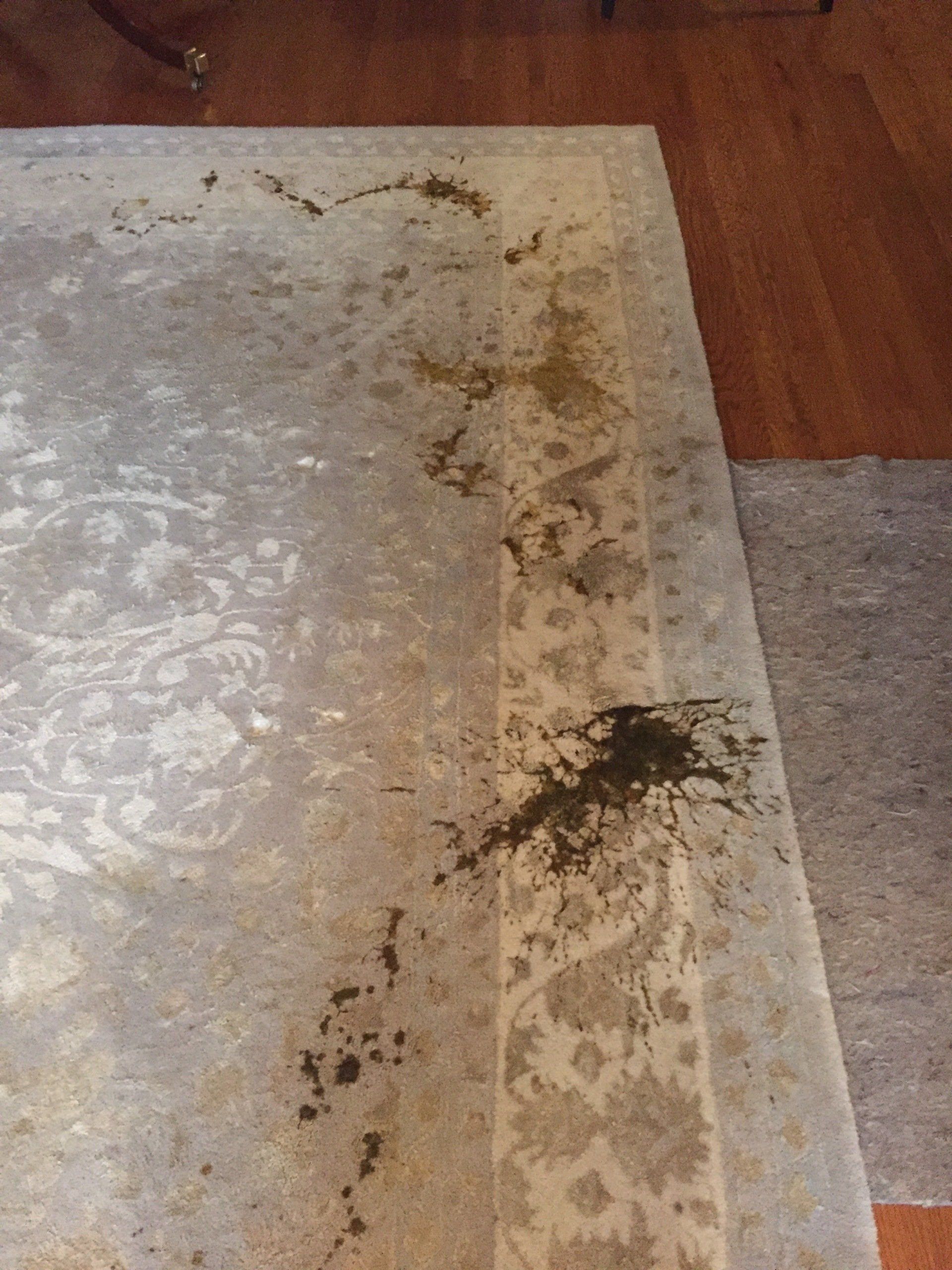Upholstery Cleaning — Carpet With Stains in Charlottesville, VA