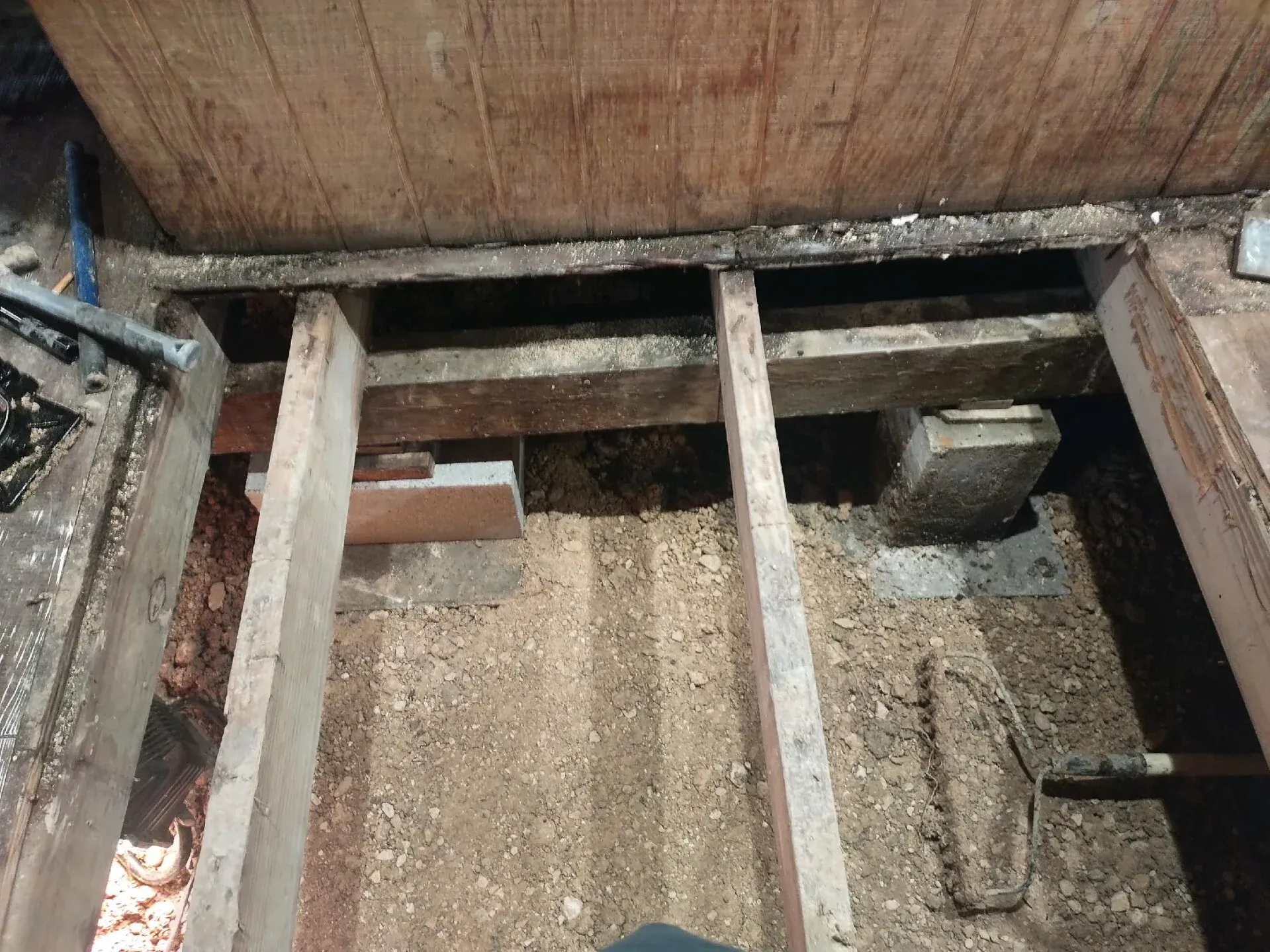 A tall, weathered tree stump with a ladder propped against it, against a blue sky.
