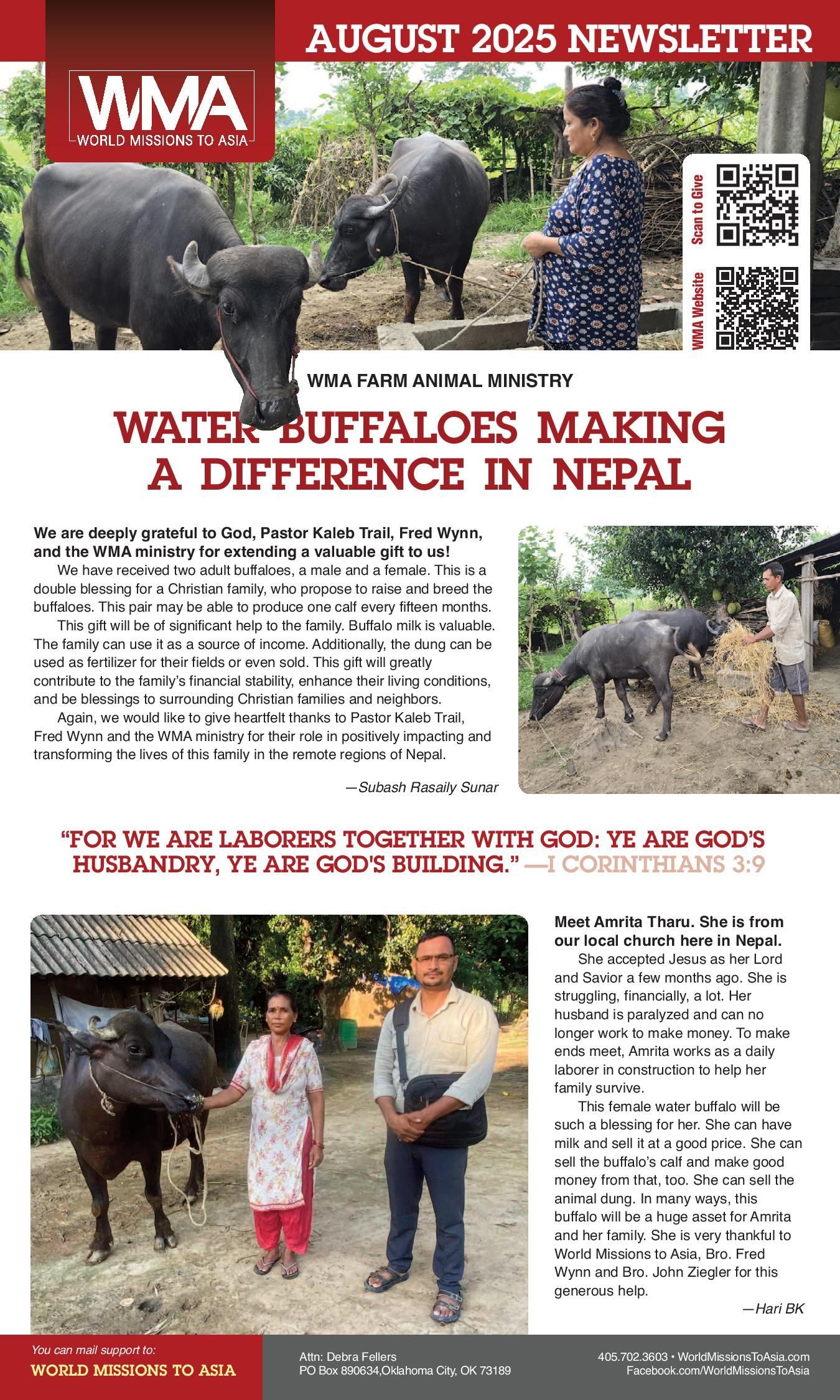 Newsletter about water buffalo in Nepal. Features photos of people with buffalo, articles, and text.