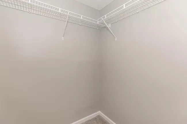 Empty walk-in closet with white wire shelving, gray walls, and a carpeted floor at Quarry in Columbus, OH.