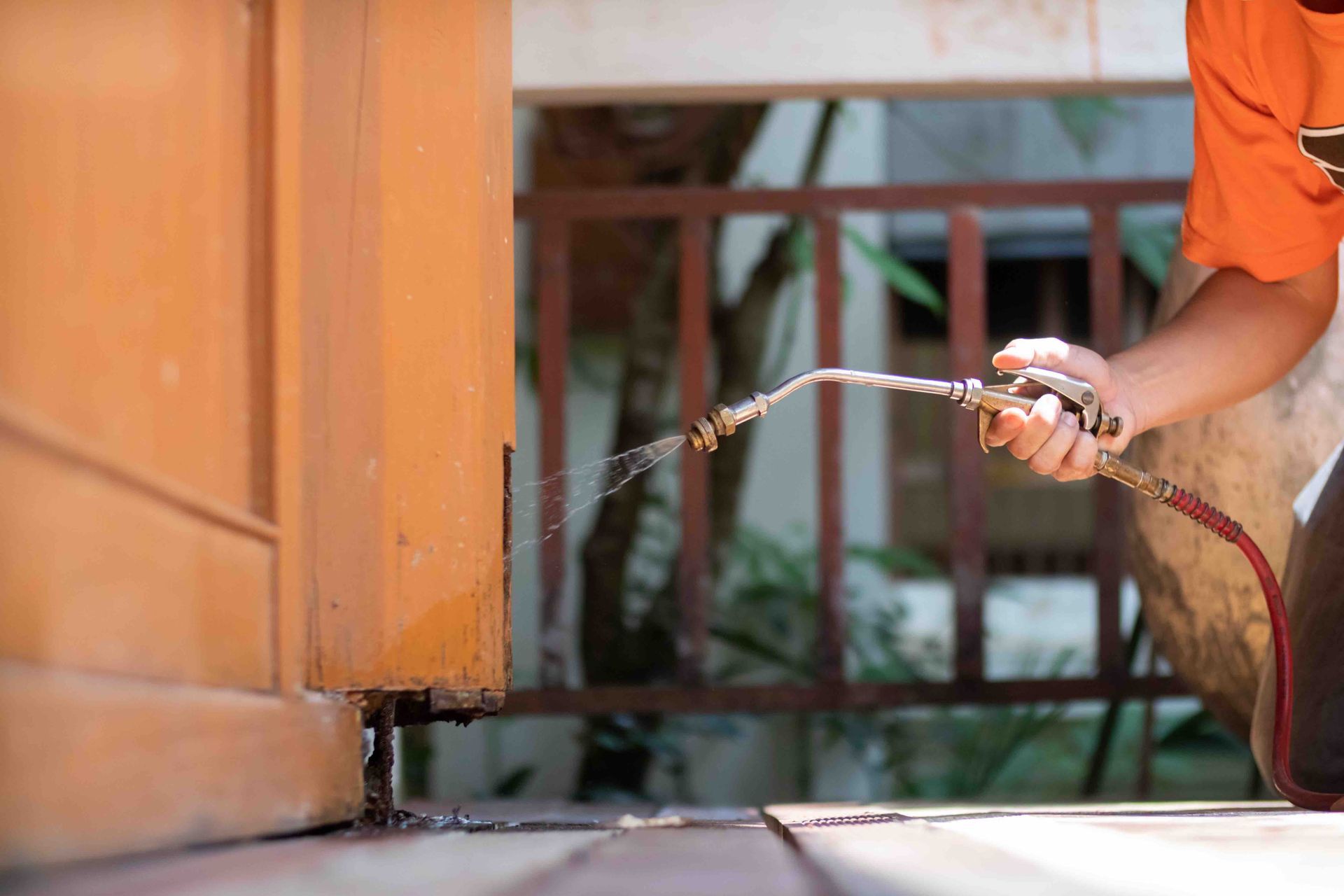 A person is spraying a wooden door with a hose.