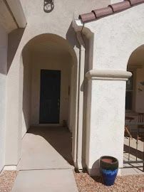 A potted plant is sitting on the sidewalk in front of a house.