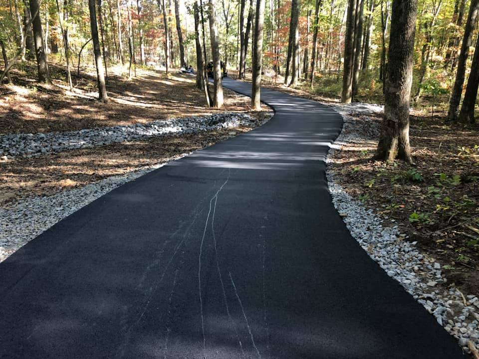 A black road going through a forest with trees on both sides