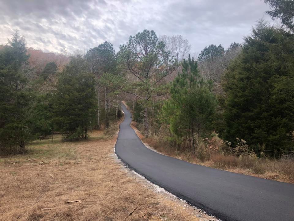 A road going through a forest with trees on both sides.