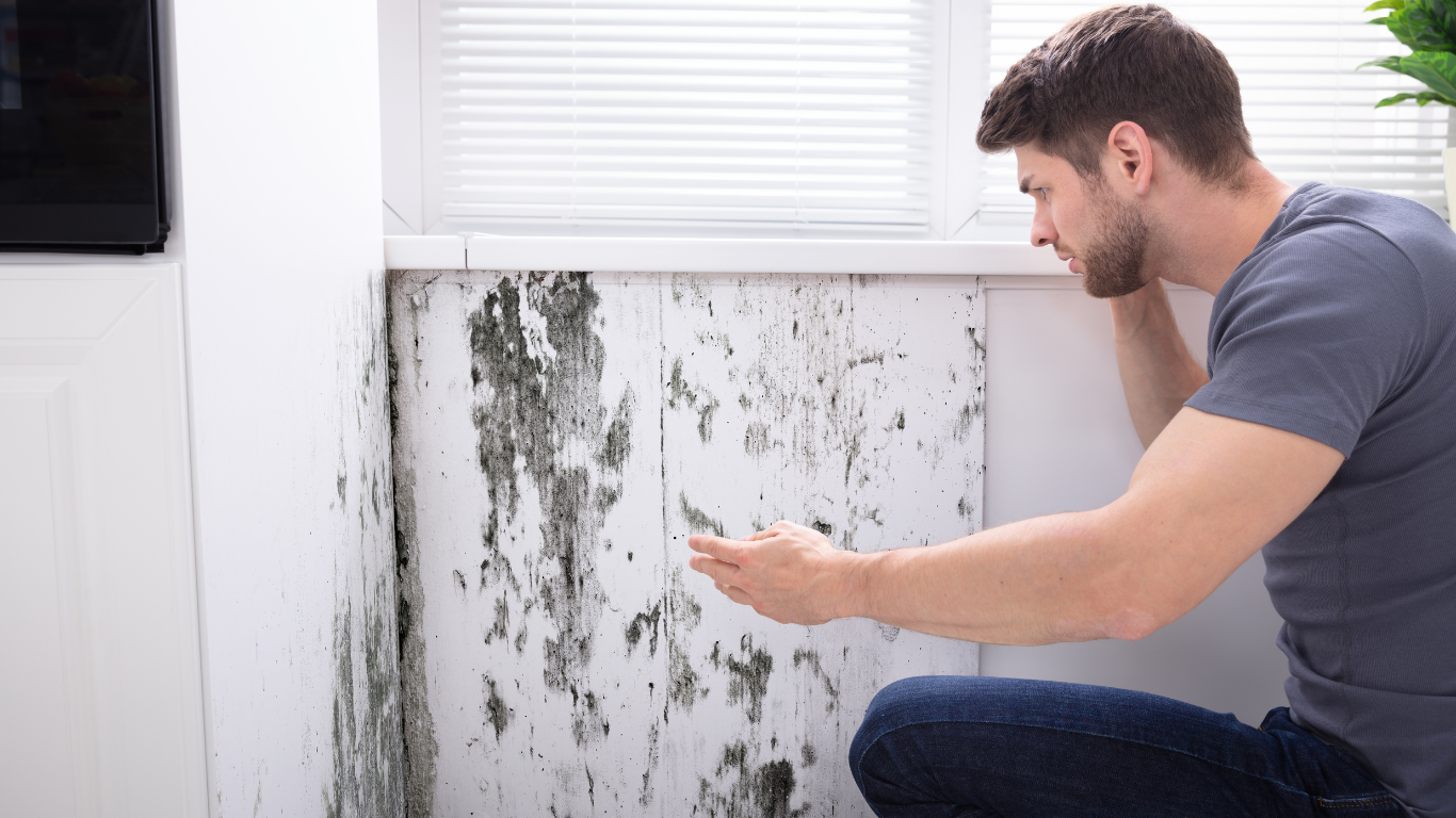 A man is kneeling down in front of a wall with mold on it.