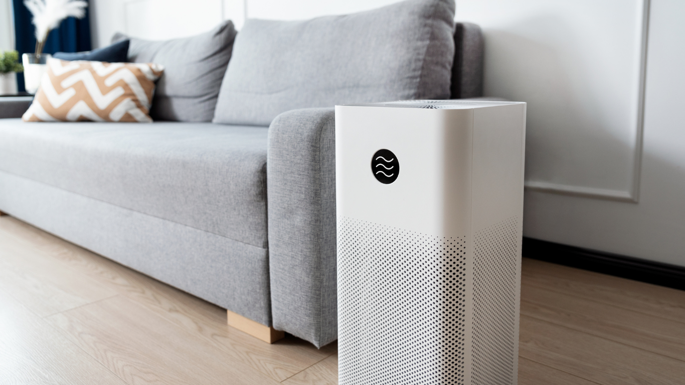 How Air Purifiers Battle Mold and Boost Indoor Air Quality