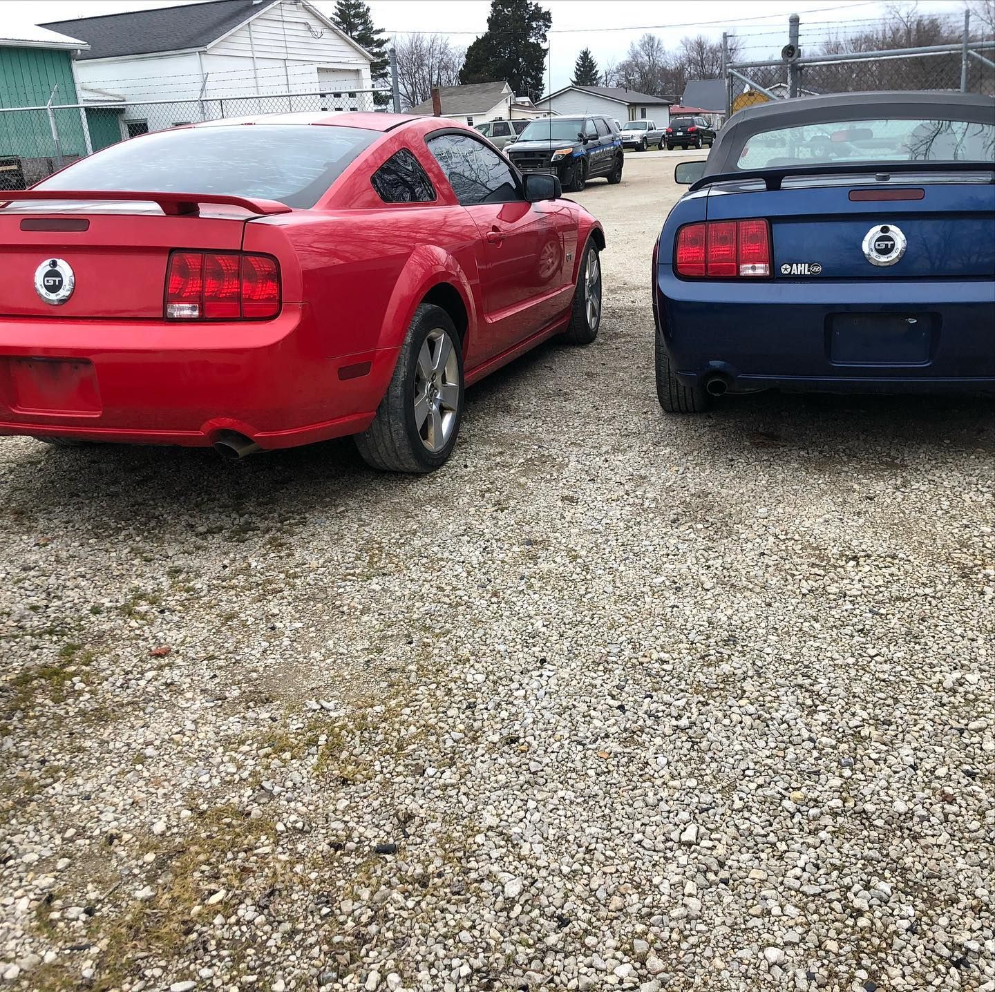 Red and blue Ford Mustangs parked on gravel in front of buildings.