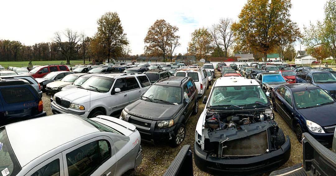 A crowded junkyard filled with cars and trucks; trees and grass in the background.