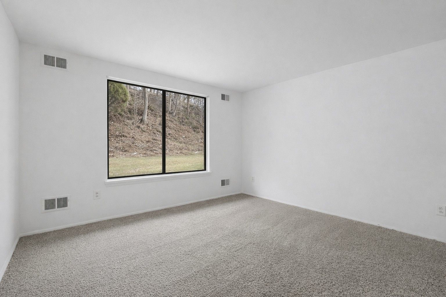 Empty room with light-colored carpet and walls, a window overlooking trees.