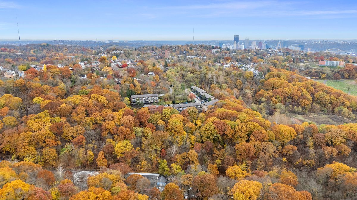 Aerial view of a vibrant autumn landscape with orange and yellow trees, buildings, and a distant city skyline.