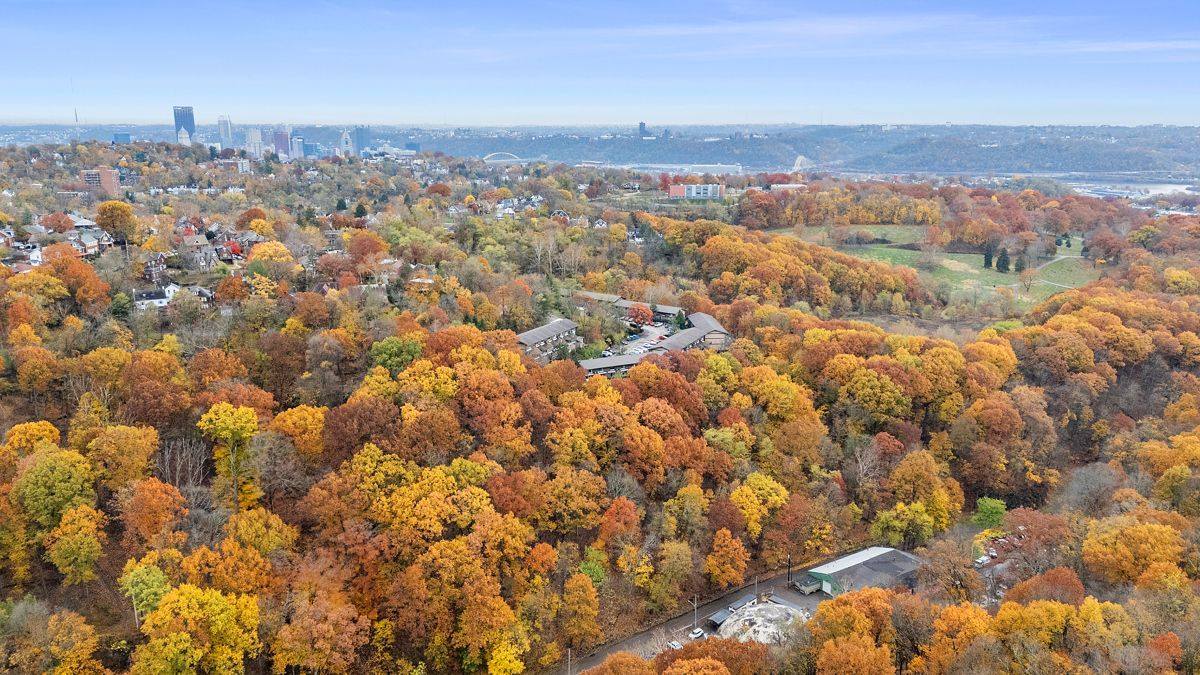Aerial view of autumn trees with colorful foliage, a city in the distance, and a blue sky.