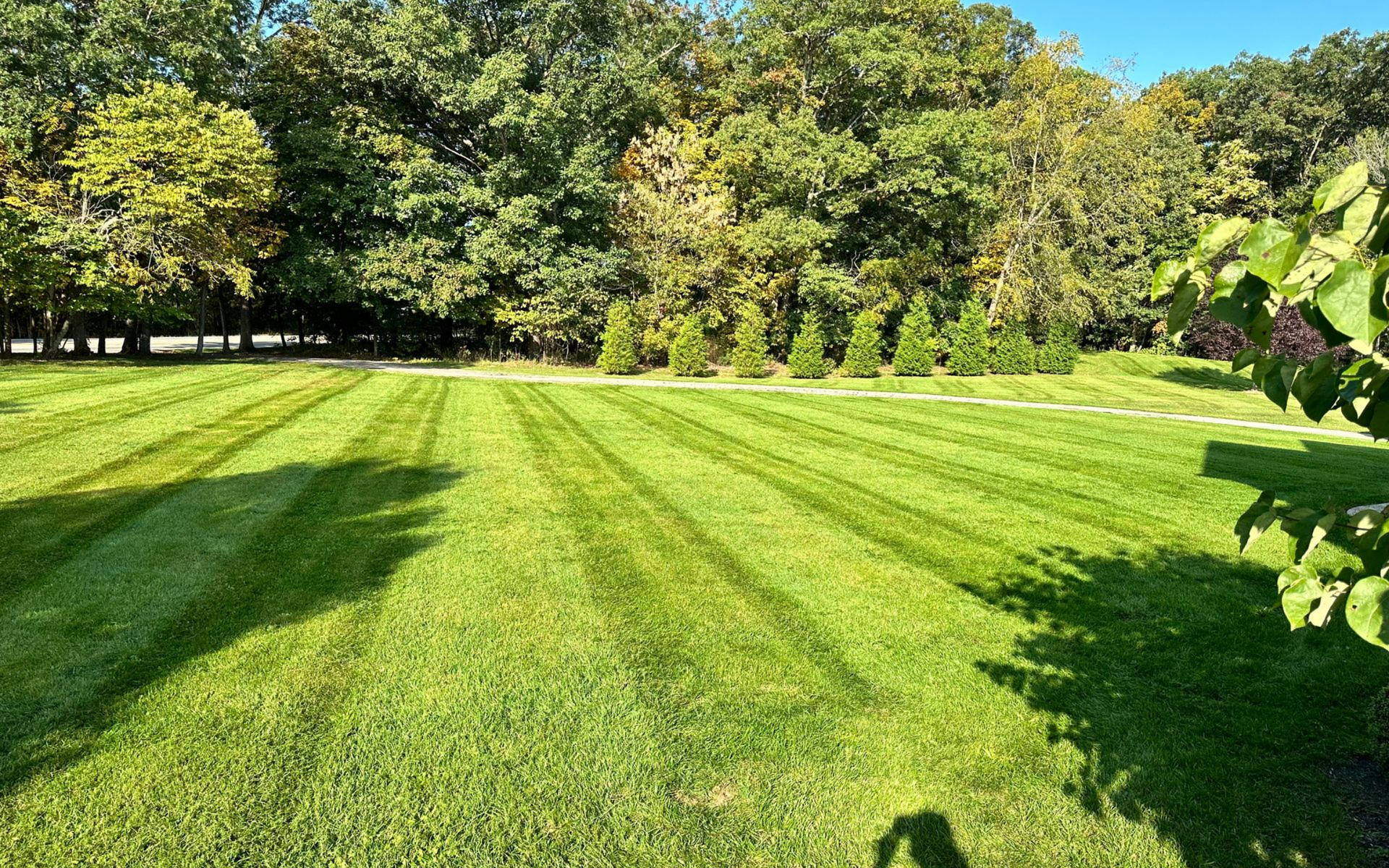 Lawn with freshly cut stripes; trees in the background under a blue sky, sunlight casts long shadows.