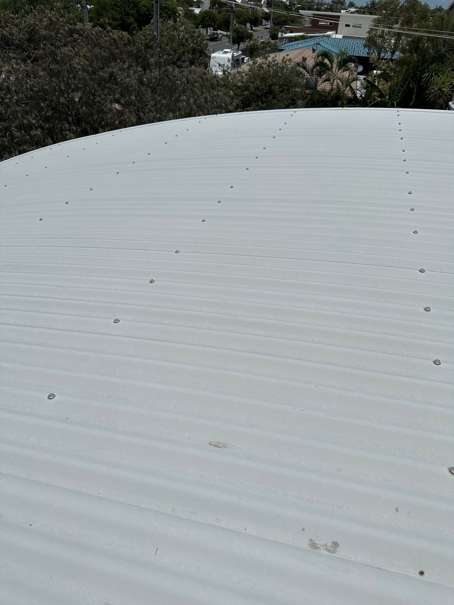Gray corrugated metal roof with trees and buildings visible in the background.