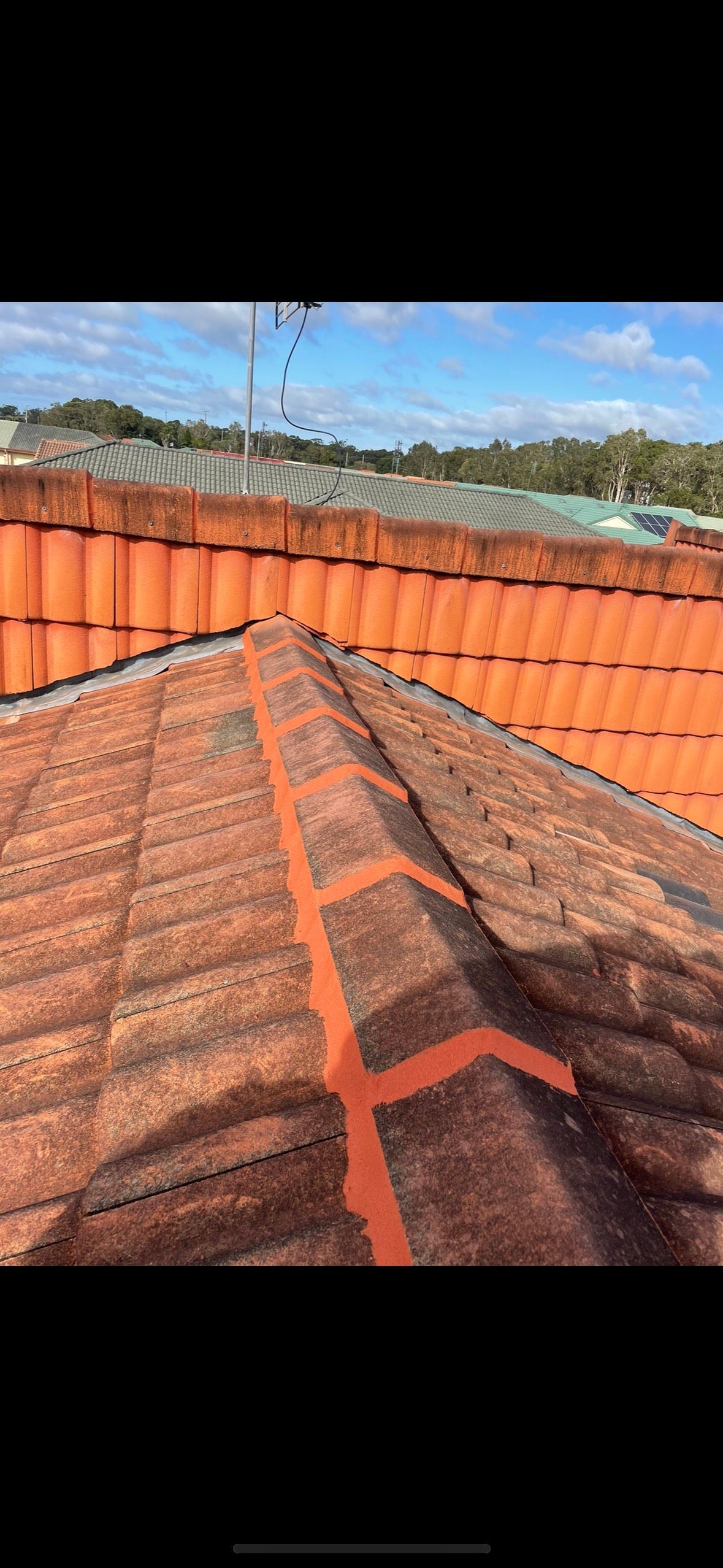 A Close-up of a Weathered Terracotta Tile Roof, With Algae or Moss Growth and Visible Red Sealant — Whirly Bird King in Brisbane, QLD