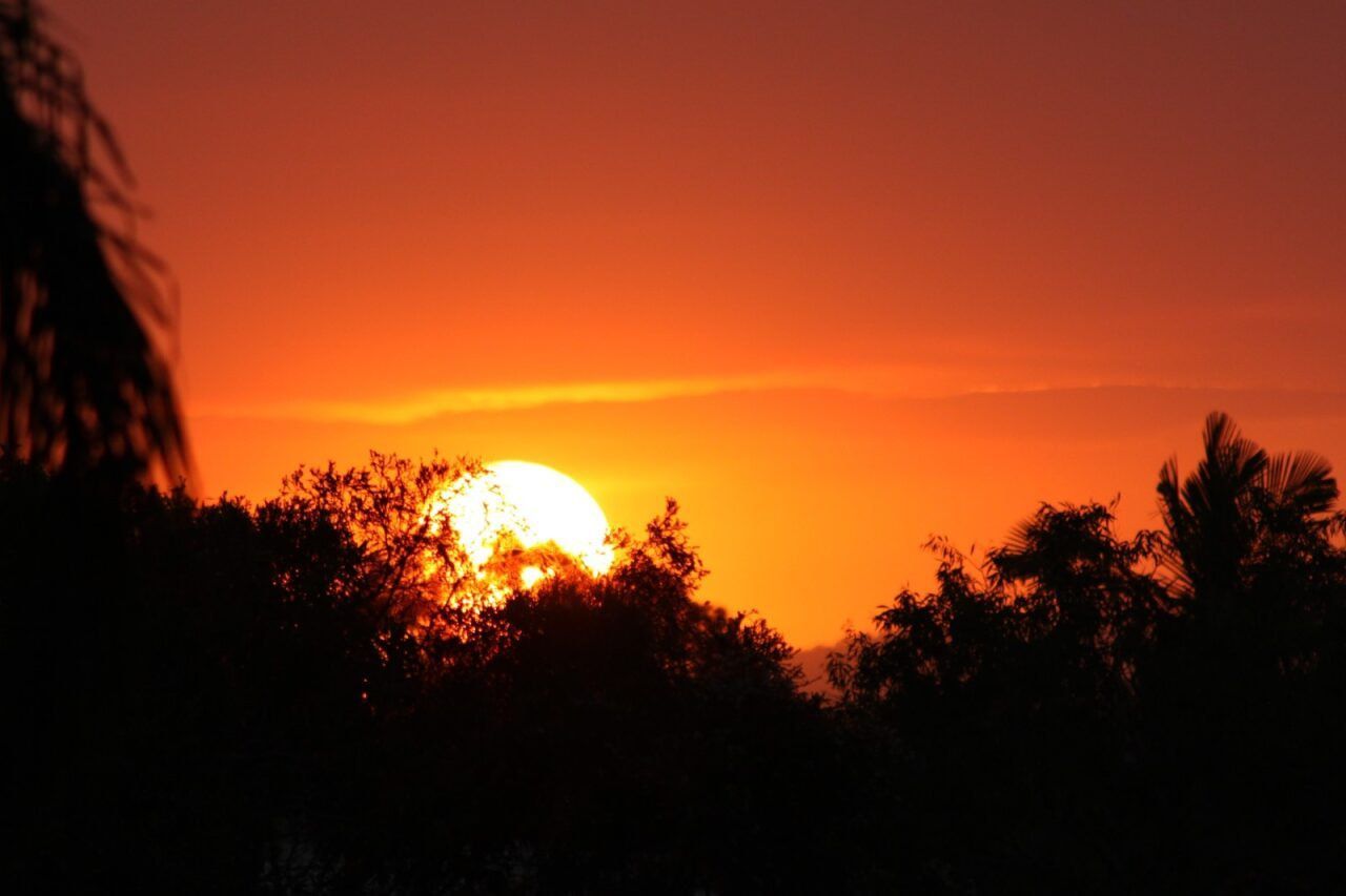 A Sunset With Trees in the Foreground and the Sun in the Background — Whirly Bird King in Sunshine Coast, QLD