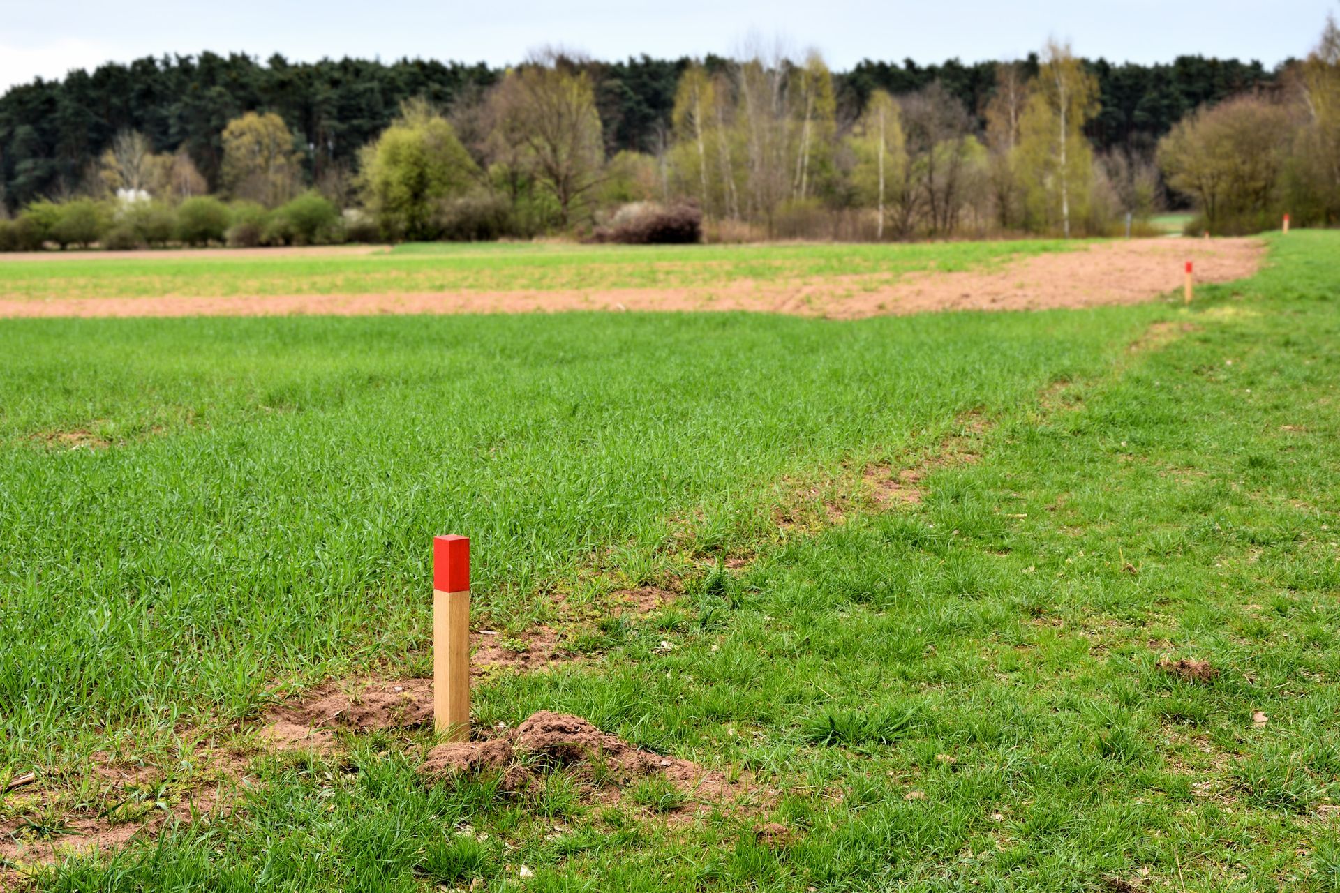 A field with a red pole in the middle of it.