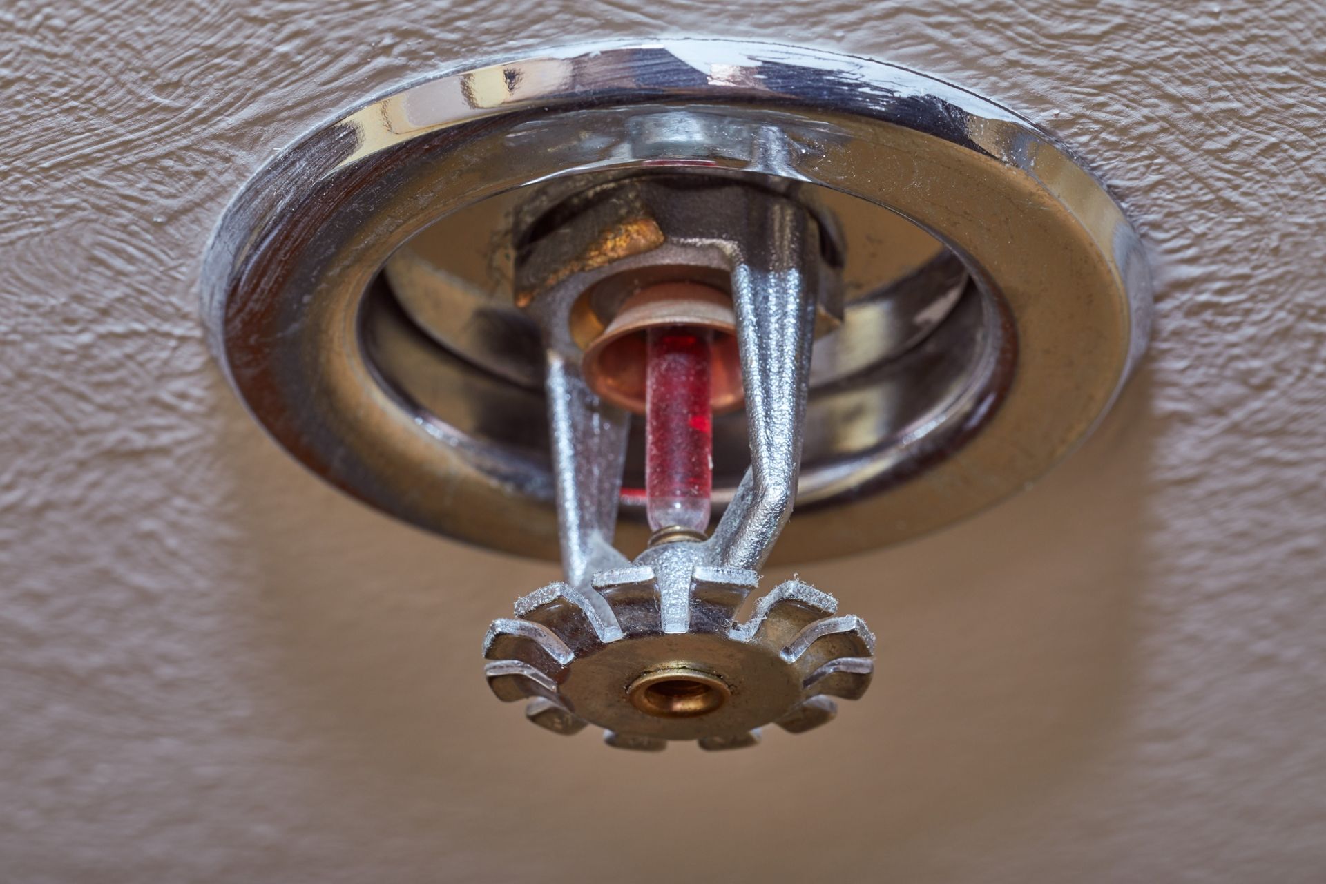 Fire Sprinkler Systems: A Beginner’s Guide