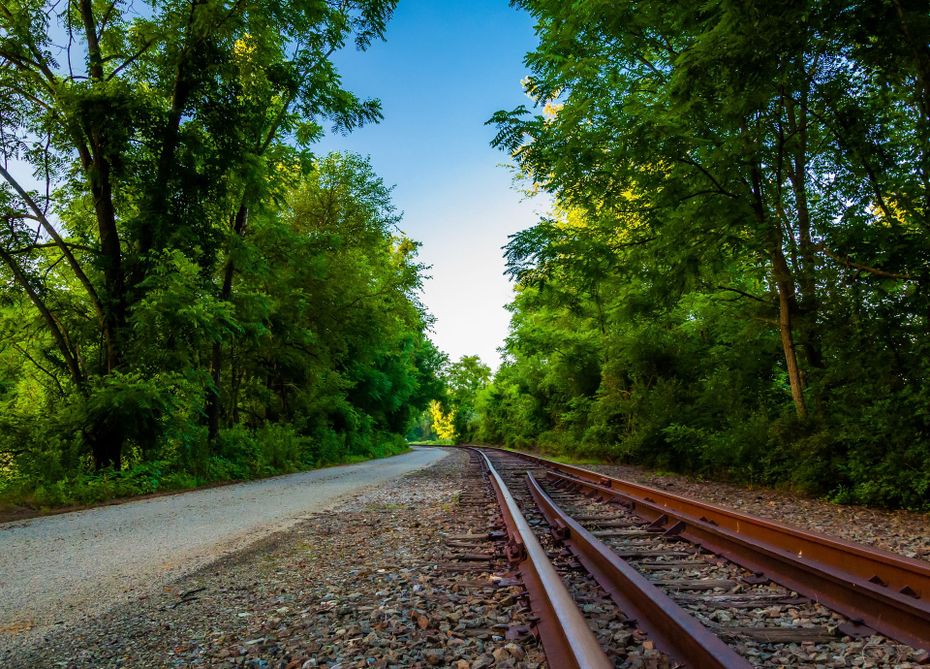 train tracks going through a lush green forest