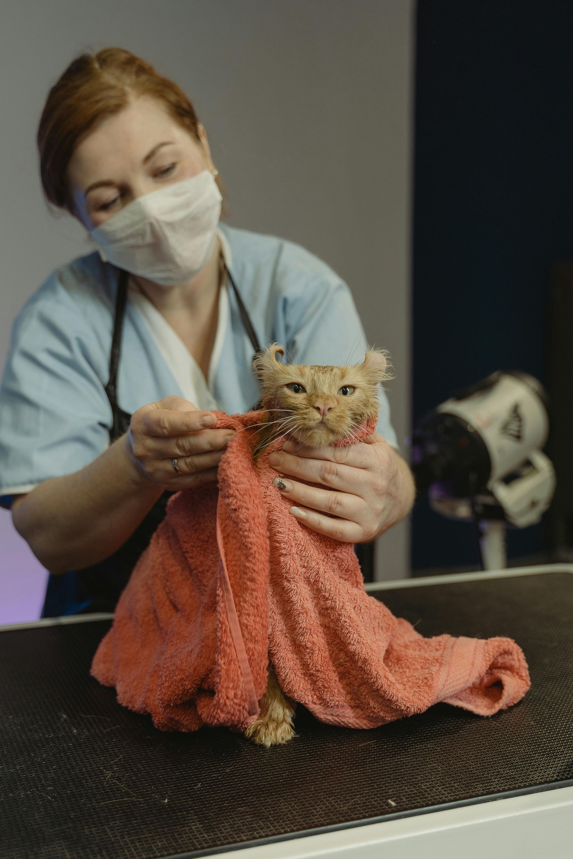 A woman is holding a cat wrapped in a towel.