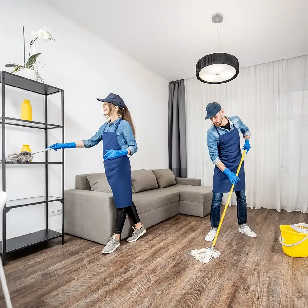 professional cleaning services chelmsford