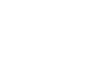 Rocky Mountain Pawn