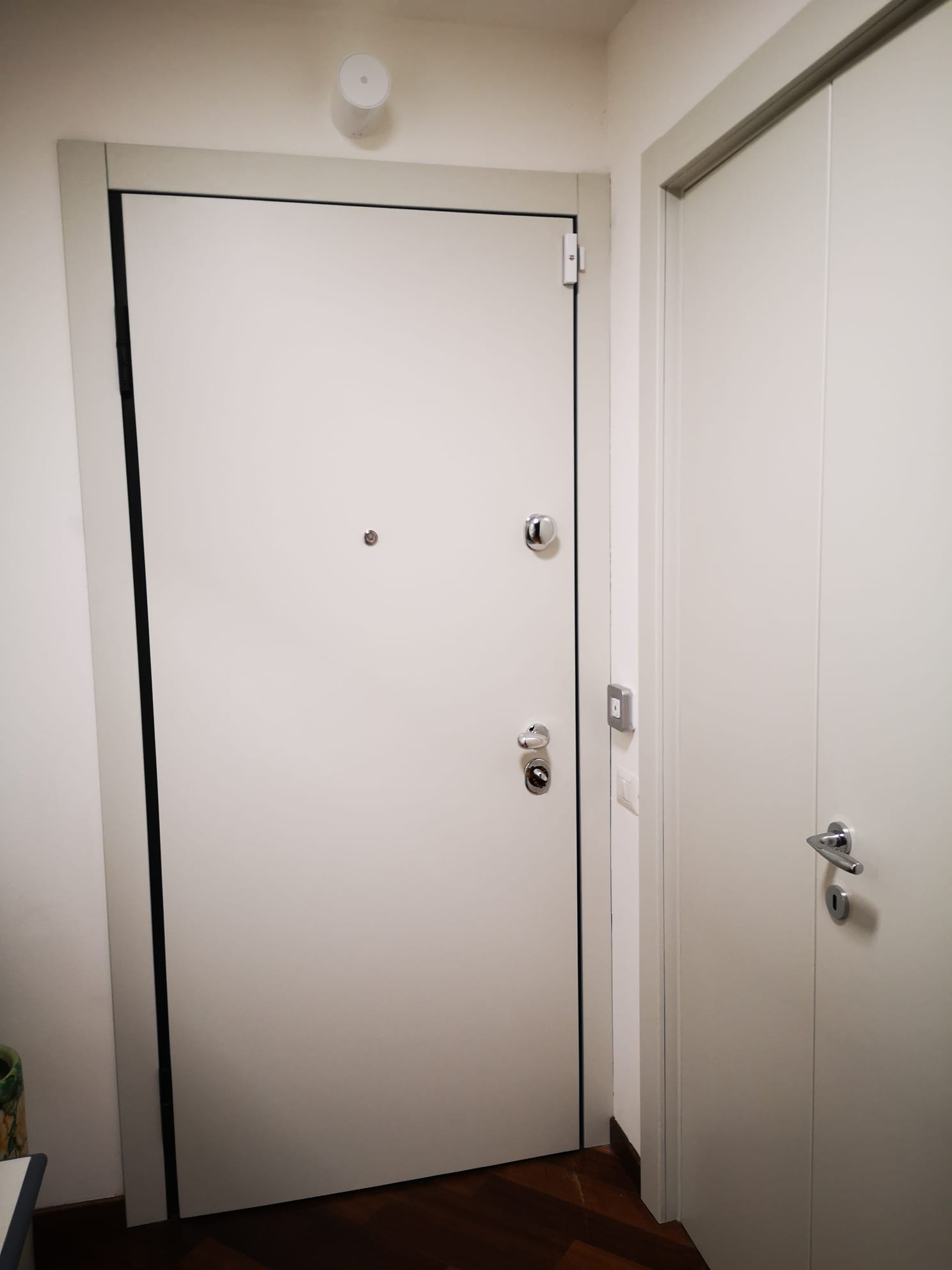 Portone d'entrata bianco