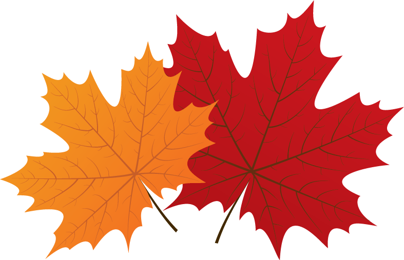 Maple Leaves