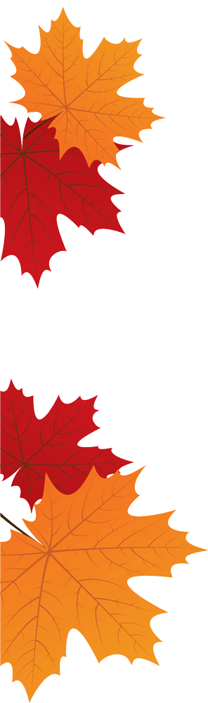 Muskoka Pure Maple Syrup