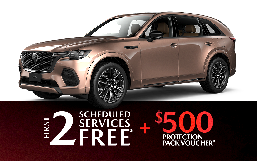 A gray suv is shown on a white background.