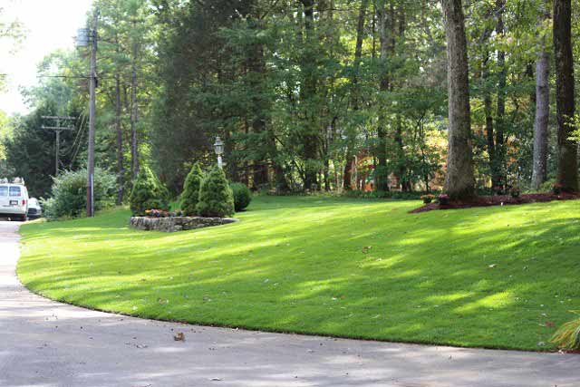 After Lawn Renovation - Landscaping Services in Sudbury, MA
