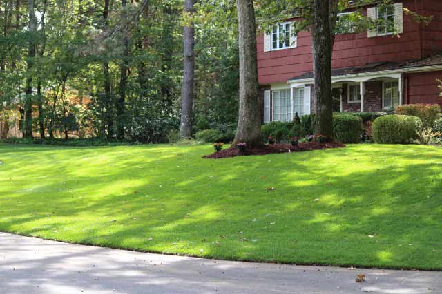 Lawn Care - Landscaping Services in Sudbury, MA