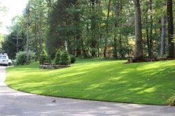 After Lawn Renovation - Lawn Care in Sudbury, MA