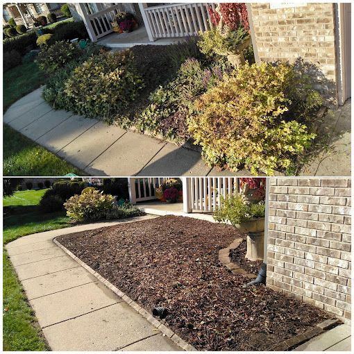 A before and after picture of a lawn with mulch and plants.