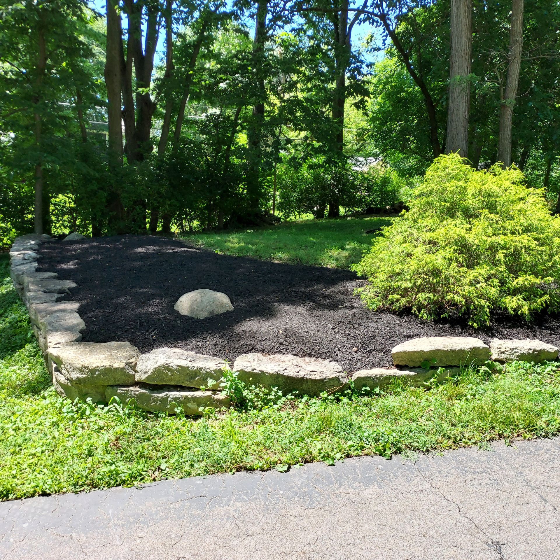 A rock in the middle of a garden with trees in the background
