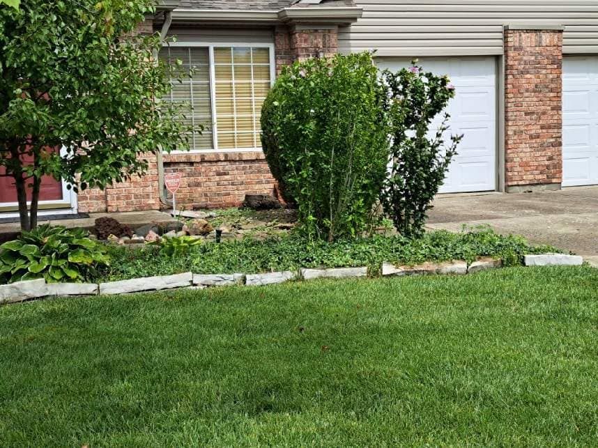 A lush green lawn in front of a brick house with two garage doors.