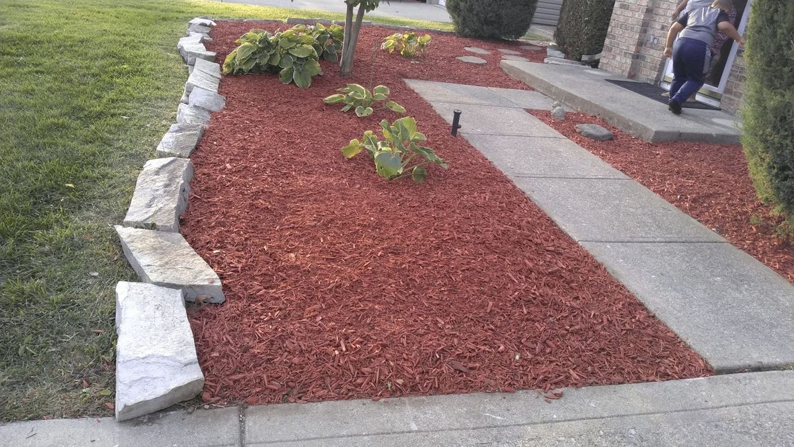 A person is walking down a sidewalk next to a garden filled with red mulch.