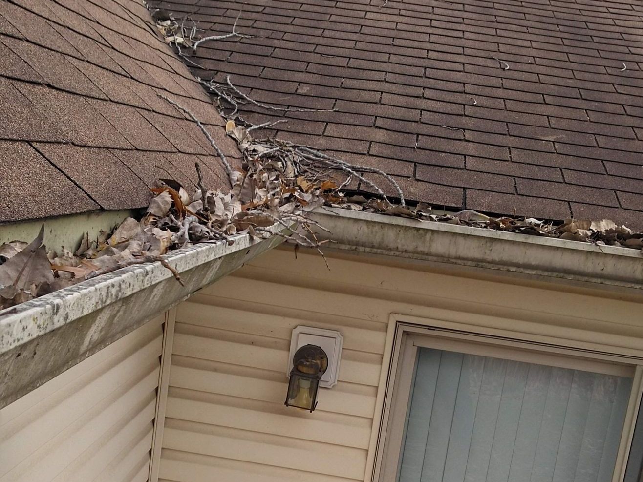 A gutter on the side of a house with leaves on it.