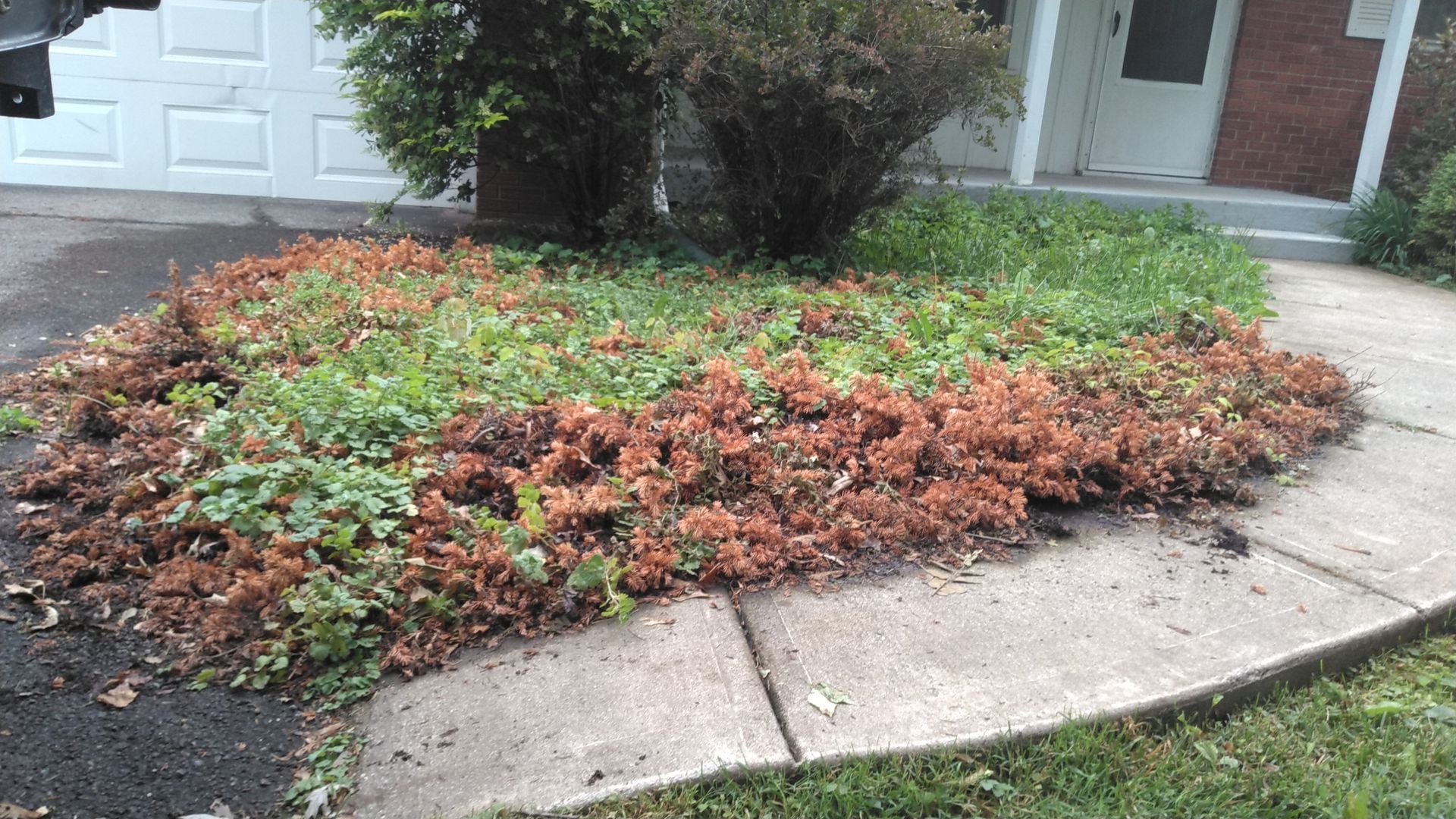 A pile of leaves on the sidewalk in front of a house