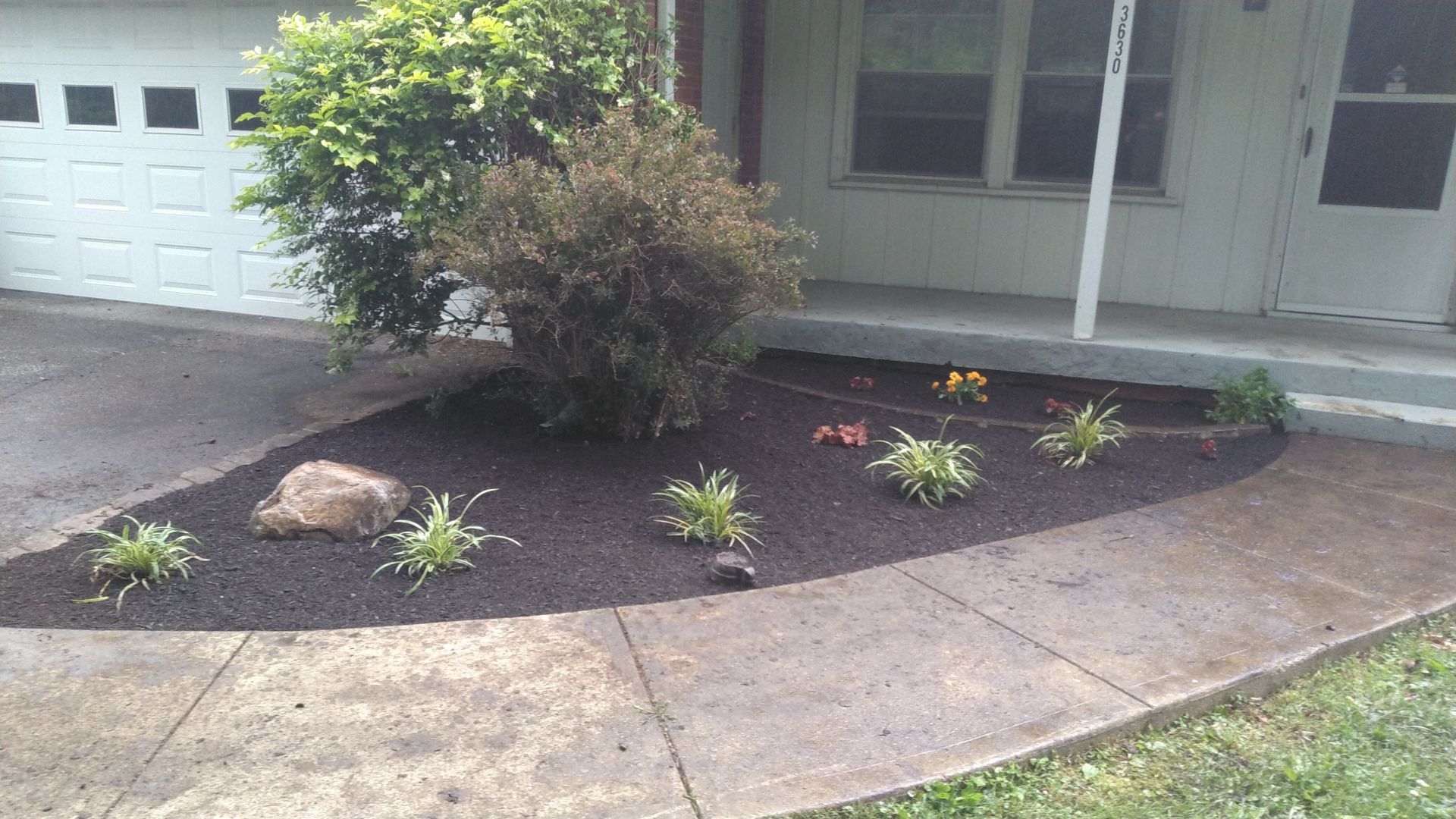 A concrete walkway in front of a house with a tree in the middle