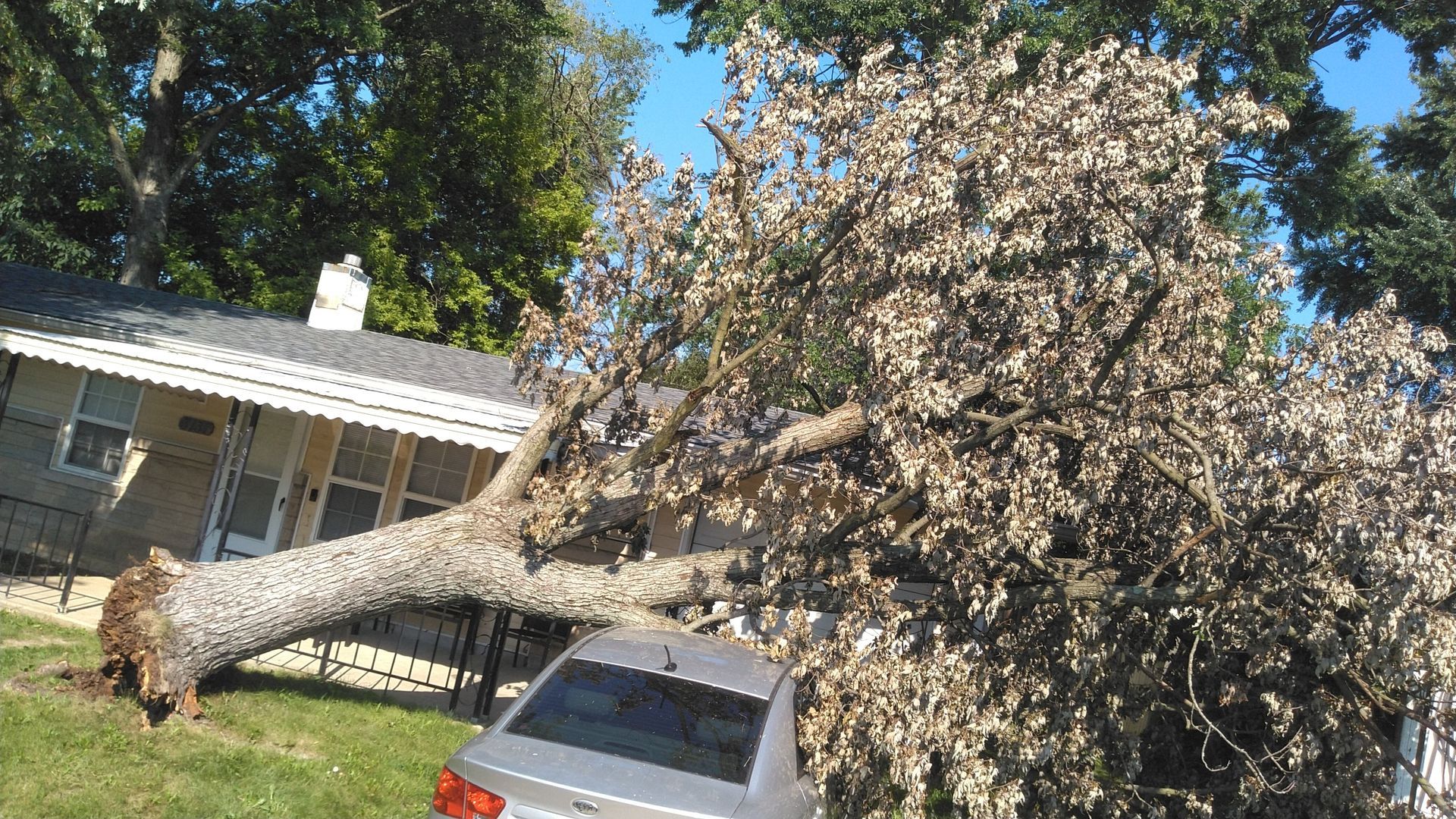 A tree has fallen on a car in front of a house.