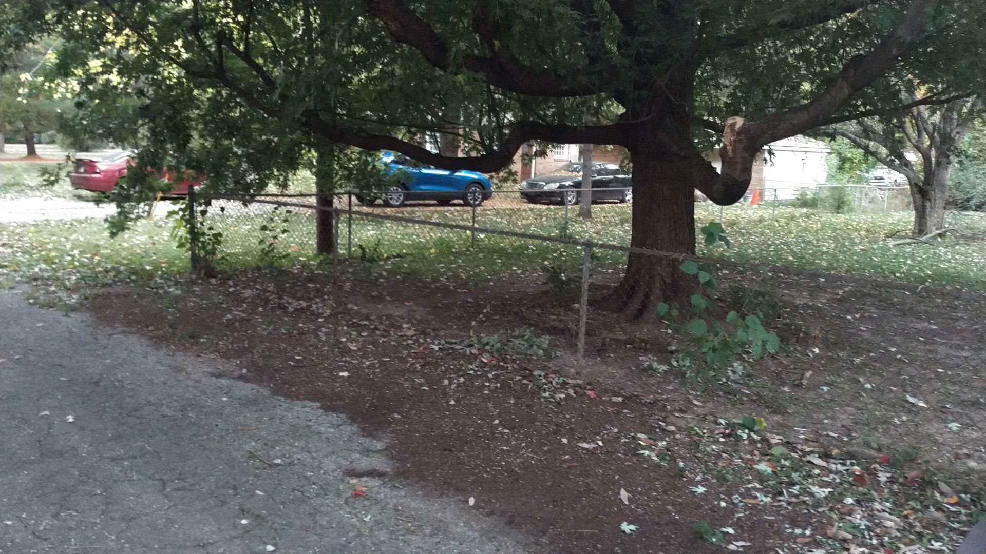 A blue car is parked under a tree on the side of the road