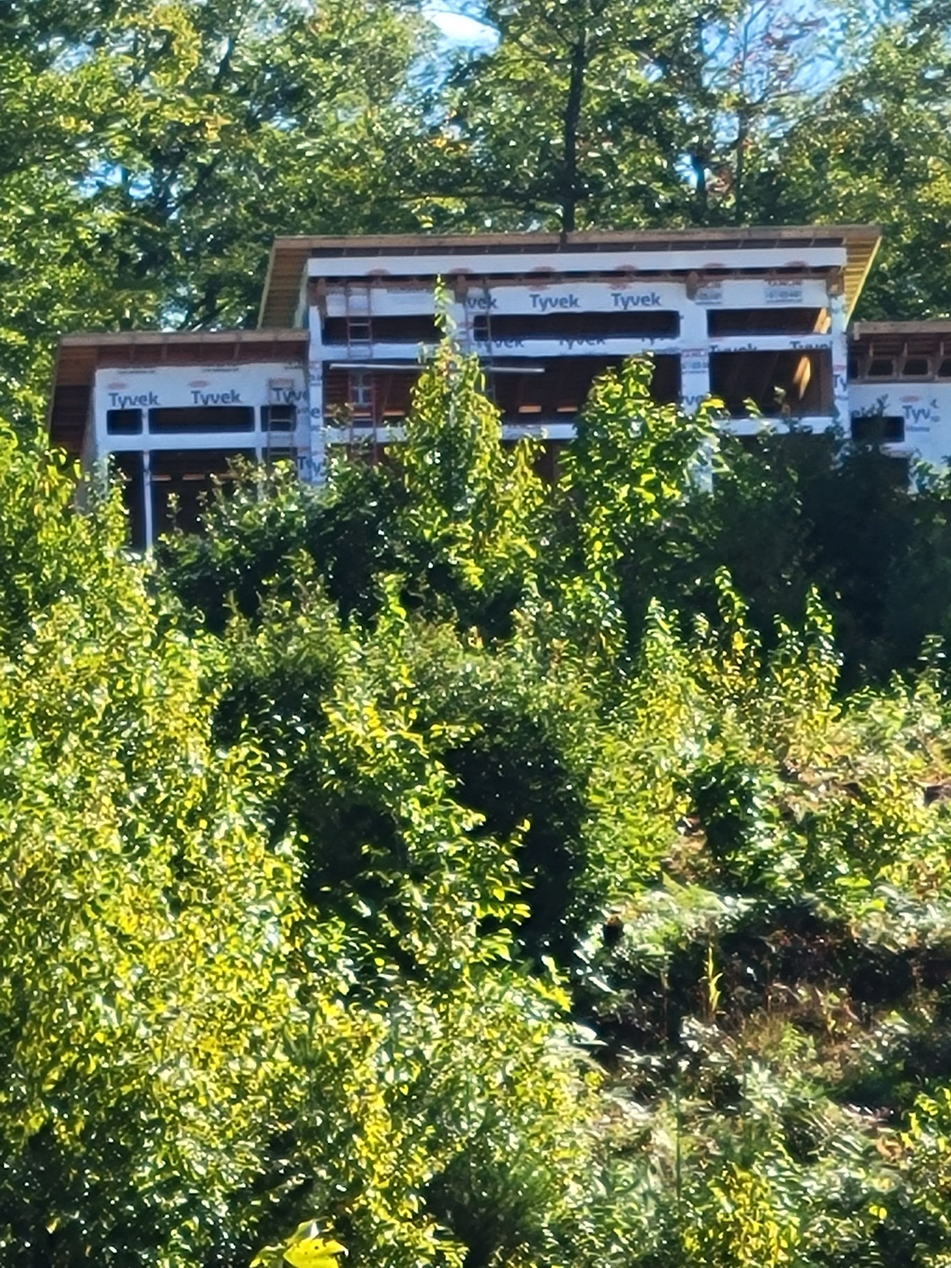 A house under construction is surrounded by trees and bushes