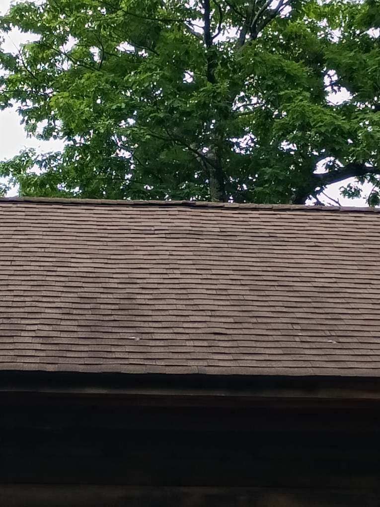 A close up of a roof with trees in the background.