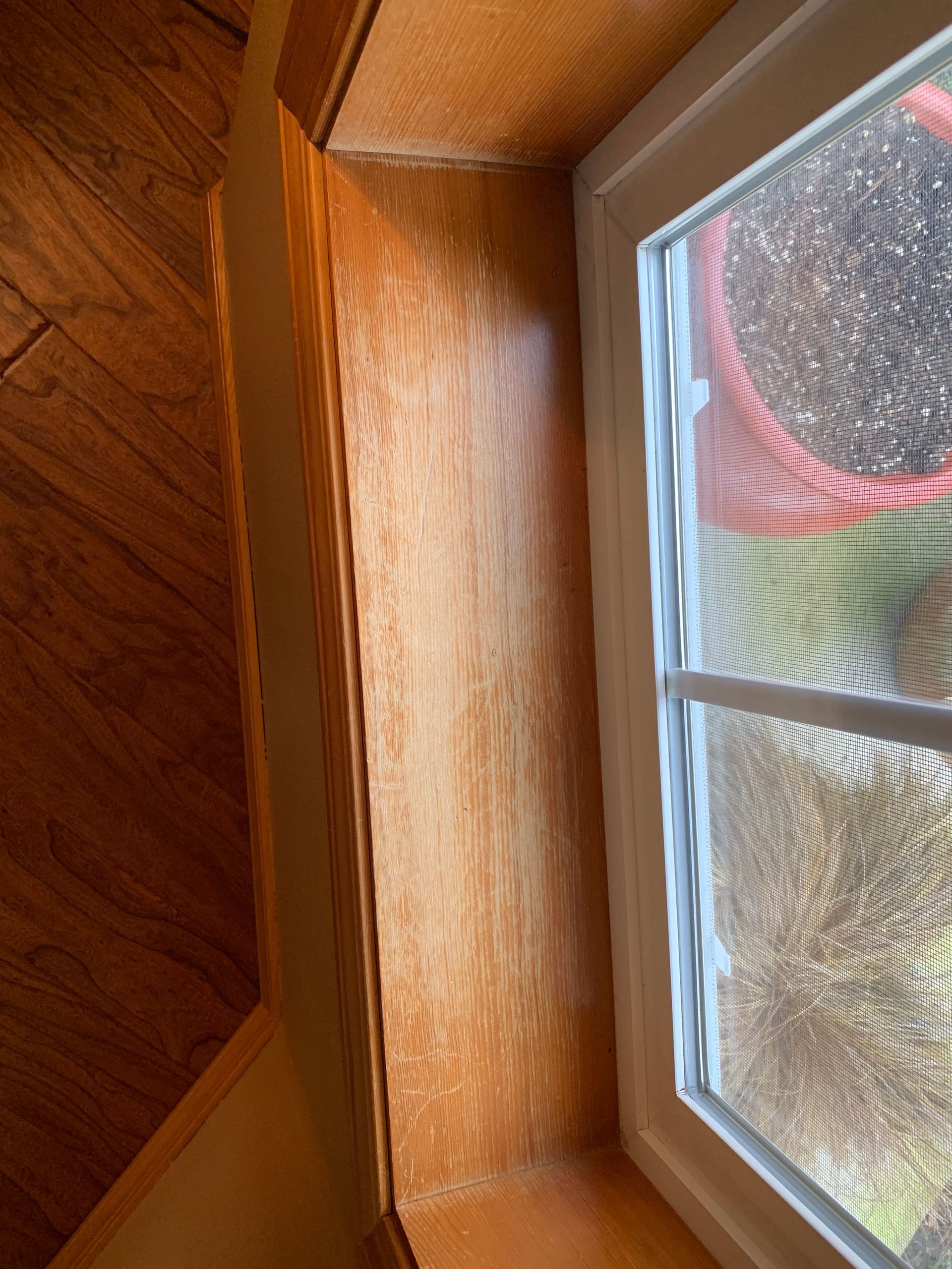 Wooden wall panel next to a window. Sunlight illuminates the wood grain. White window frame.